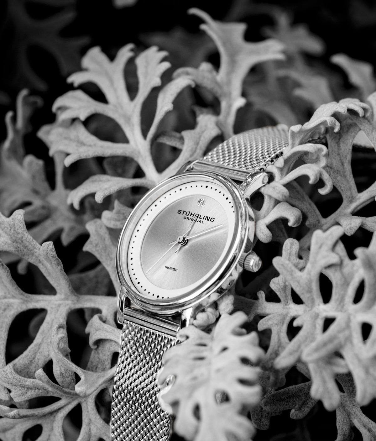 Stührling Lady Casatorra Elite 4005 Quartz 29mm Fashion